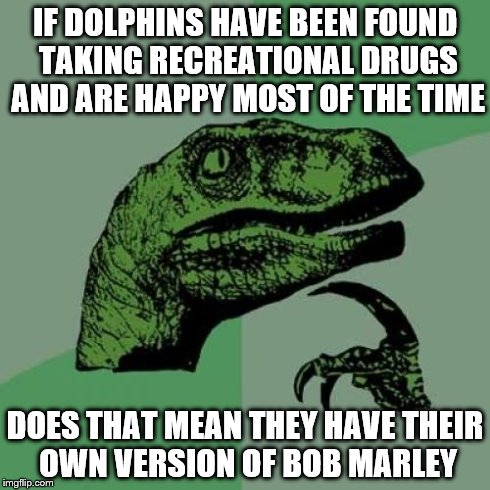 Philosoraptor | IF DOLPHINS HAVE BEEN FOUND TAKING RECREATIONAL DRUGS AND ARE HAPPY MOST OF THE TIME DOES THAT MEAN THEY HAVE THEIR OWN VERSION OF BOB MARLE | image tagged in memes,philosoraptor | made w/ Imgflip meme maker