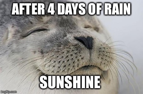 Satisfied Seal | AFTER 4 DAYS OF RAIN SUNSHINE | image tagged in memes,satisfied seal | made w/ Imgflip meme maker