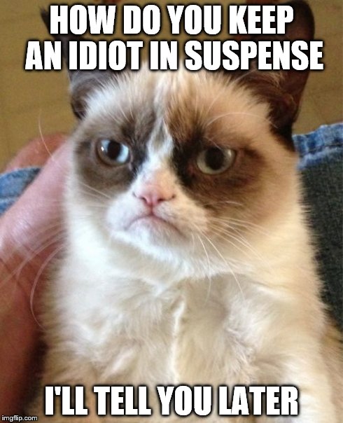 Grumpy Cat | HOW DO YOU KEEP AN IDIOT IN SUSPENSE I'LL TELL YOU LATER | image tagged in memes,grumpy cat | made w/ Imgflip meme maker