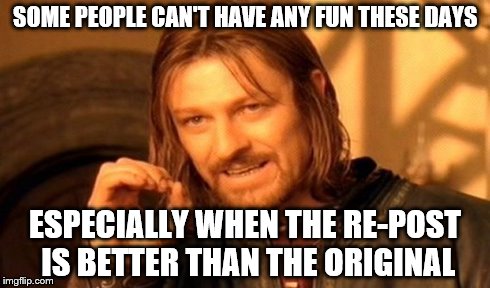 One Does Not Simply Meme | SOME PEOPLE CAN'T HAVE ANY FUN THESE DAYS ESPECIALLY WHEN THE RE-POST IS BETTER THAN THE ORIGINAL | image tagged in memes,one does not simply | made w/ Imgflip meme maker