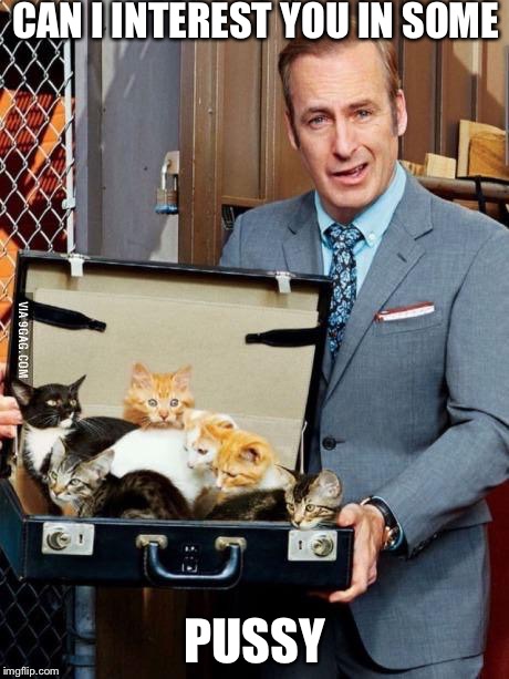 Bob odenkirk | CAN I INTEREST YOU IN SOME PUSSY | image tagged in bob odenkirk | made w/ Imgflip meme maker