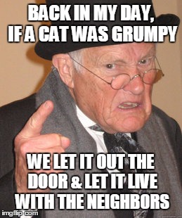 Back In My Day | BACK IN MY DAY, IF A CAT WAS GRUMPY WE LET IT OUT THE DOOR & LET IT LIVE WITH THE NEIGHBORS | image tagged in memes,back in my day | made w/ Imgflip meme maker