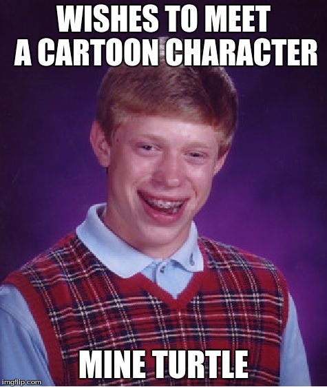From asdf movie | WISHES TO MEET A CARTOON CHARACTER MINE TURTLE | image tagged in memes,bad luck brian | made w/ Imgflip meme maker
