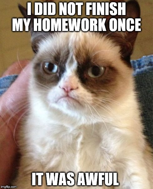 Grumpy Cat | I DID NOT FINISH MY HOMEWORK ONCE IT WAS AWFUL | image tagged in memes,grumpy cat | made w/ Imgflip meme maker