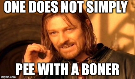 One Does Not Simply Meme | ONE DOES NOT SIMPLY PEE WITH A BONER | image tagged in memes,one does not simply | made w/ Imgflip meme maker