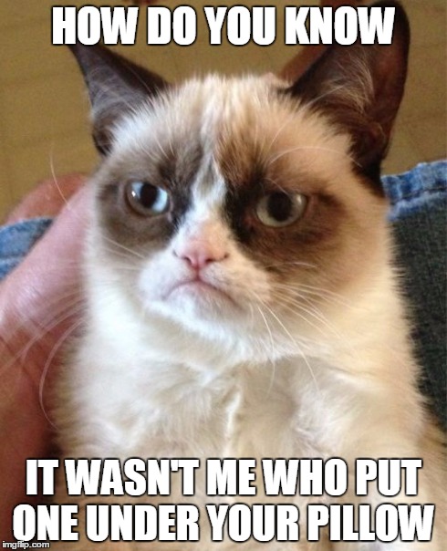 Grumpy Cat Meme | HOW DO YOU KNOW IT WASN'T ME WHO PUT ONE UNDER YOUR PILLOW | image tagged in memes,grumpy cat | made w/ Imgflip meme maker