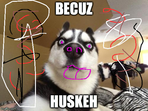 Husky Richard | BECUZ HUSKEH | image tagged in husky richard | made w/ Imgflip meme maker