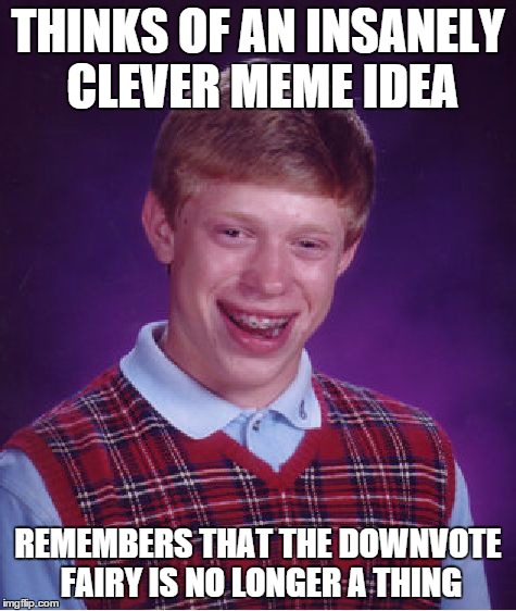 Bad Luck Brian Meme | THINKS OF AN INSANELY CLEVER MEME IDEA REMEMBERS THAT THE DOWNVOTE FAIRY IS NO LONGER A THING | image tagged in memes,bad luck brian | made w/ Imgflip meme maker