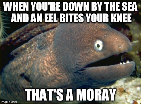 Bad Joke Eel Meme | WHEN YOU'RE DOWN BY THE SEA AND AN EEL BITES YOUR KNEE THAT'S A MORAY | image tagged in memes,bad joke eel | made w/ Imgflip meme maker