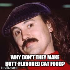 WHY DON'T THEY MAKE BUTT-FLAVORED CAT FOOD? | image tagged in memes,funny,funny memes | made w/ Imgflip meme maker
