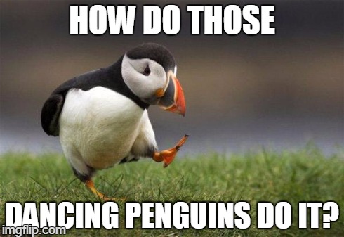 unhappy | HOW DO THOSE DANCING PENGUINS DO IT? | image tagged in popular opinion puffin | made w/ Imgflip meme maker