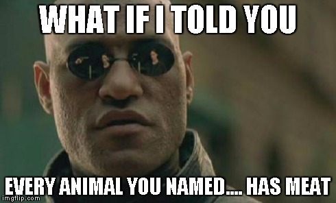 WHAT IF I TOLD YOU EVERY ANIMAL YOU NAMED.... HAS MEAT | image tagged in memes,matrix morpheus | made w/ Imgflip meme maker