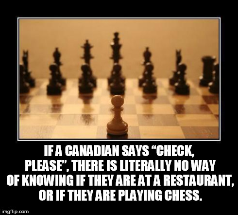 Chess | IF A CANADIAN SAYS “CHECK, PLEASE”, THERE IS LITERALLY NO WAY OF KNOWING IF THEY ARE AT A RESTAURANT, OR IF THEY ARE PLAYING CHESS. | image tagged in chess | made w/ Imgflip meme maker