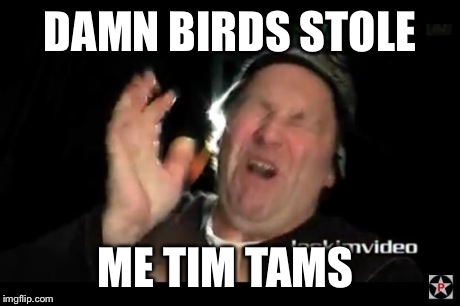 DAMN BIRDS STOLE ME TIM TAMS | image tagged in bad day for leo | made w/ Imgflip meme maker