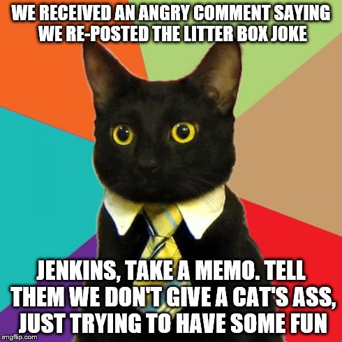 Business Cat | WE RECEIVED AN ANGRY COMMENT SAYING WE RE-POSTED THE LITTER BOX JOKE JENKINS, TAKE A MEMO. TELL THEM WE DON'T GIVE A CAT'S ASS, JUST TRYING  | image tagged in memes,business cat | made w/ Imgflip meme maker
