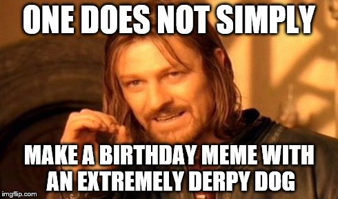 One Does Not Simply Meme | ONE DOES NOT SIMPLY MAKE A BIRTHDAY MEME WITH AN EXTREMELY DERPY DOG | image tagged in memes,one does not simply | made w/ Imgflip meme maker