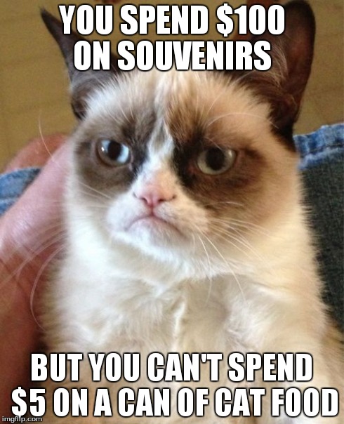 Grumpy Cat | YOU SPEND $100 ON SOUVENIRS BUT YOU CAN'T SPEND $5 ON A CAN OF CAT FOOD | image tagged in memes,grumpy cat | made w/ Imgflip meme maker