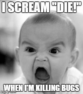 Angry Baby Meme | I SCREAM "DIE!" WHEN I'M KILLING BUGS | image tagged in memes,angry baby | made w/ Imgflip meme maker