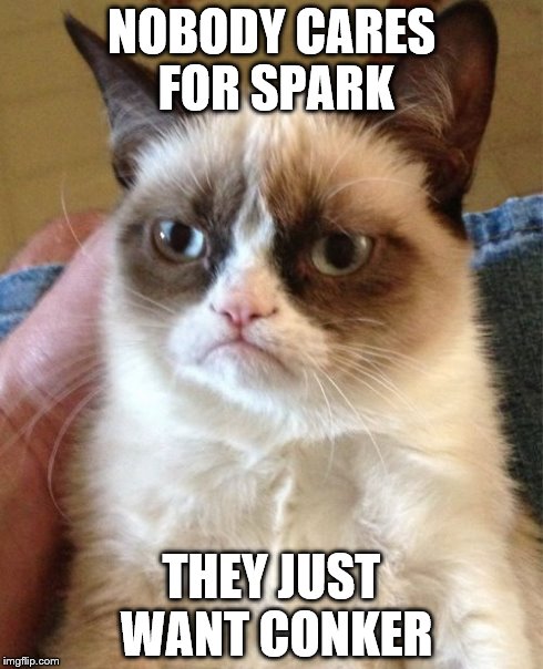 Grumpy Cat Meme | NOBODY CARES FOR SPARK THEY JUST WANT CONKER | image tagged in memes,grumpy cat | made w/ Imgflip meme maker