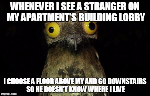 Weird Stuff I Do Potoo Meme | WHENEVER I SEE A STRANGER ON MY APARTMENT'S BUILDING LOBBY I CHOOSE A FLOOR ABOVE MY AND GO DOWNSTAIRS SO HE DOESN'T KNOW WHERE I LIVE | image tagged in memes,weird stuff i do potoo | made w/ Imgflip meme maker