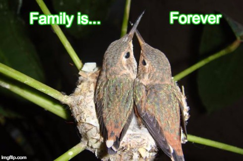 Family Is Forever | Family is... Forever | image tagged in family,family forever,love,brothers,sisters,hugs | made w/ Imgflip meme maker
