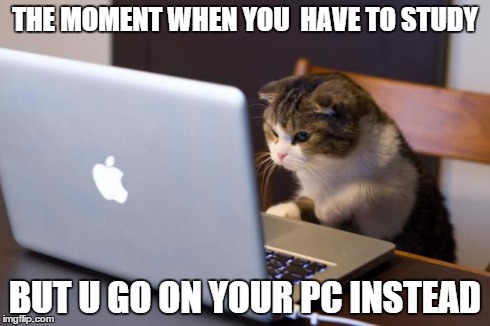 Cat using computer | THE MOMENT WHEN YOU 
HAVE TO STUDY BUT U GO ON YOUR PC INSTEAD | image tagged in cat using computer | made w/ Imgflip meme maker