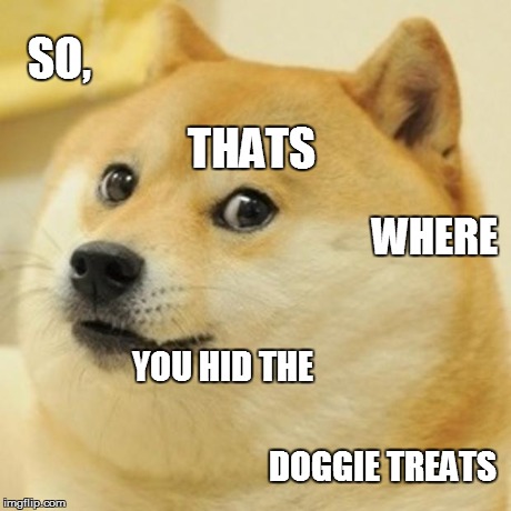 Doge Meme | SO, DOGGIE TREATS THATS WHERE YOU HID THE | image tagged in memes,doge | made w/ Imgflip meme maker
