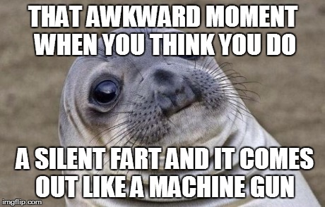 Awkward Moment Sealion | THAT AWKWARD MOMENT WHEN YOU THINK YOU DO A SILENT FART AND IT COMES OUT LIKE A MACHINE GUN | image tagged in memes,awkward moment sealion | made w/ Imgflip meme maker
