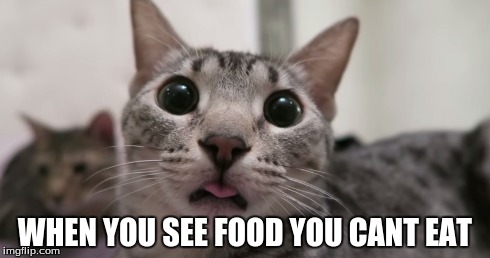 nylah kitty | WHEN YOU SEE FOOD YOU CANT EAT | image tagged in kitty | made w/ Imgflip meme maker