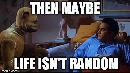 livealittlelovealittle | THEN MAYBE LIFE ISN'T RANDOM | image tagged in livealittlelovealittle | made w/ Imgflip meme maker