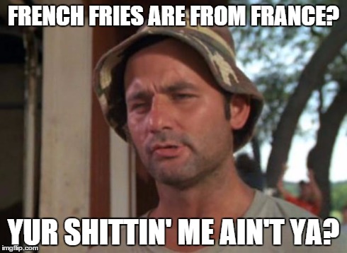 So I Got That Goin For Me Which Is Nice | FRENCH FRIES ARE FROM FRANCE? YUR SHITTIN' ME AIN'T YA? | image tagged in memes,so i got that goin for me which is nice | made w/ Imgflip meme maker