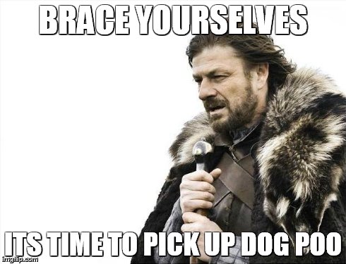 Brace Yourselves X is Coming | BRACE YOURSELVES ITS TIME TO PICK UP DOG POO | image tagged in memes,brace yourselves x is coming | made w/ Imgflip meme maker