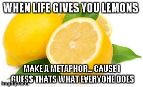Why does everyone make metaphors?  | WHEN LIFE GIVES YOU LEMONS MAKE A METAPHOR... CAUSE I GUESS THATS WHAT EVERYONE DOES | image tagged in memes | made w/ Imgflip meme maker
