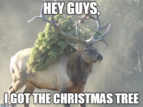 elk tree | HEY GUYS, I GOT THE CHRISTMAS TREE | image tagged in elk,christmas | made w/ Imgflip meme maker