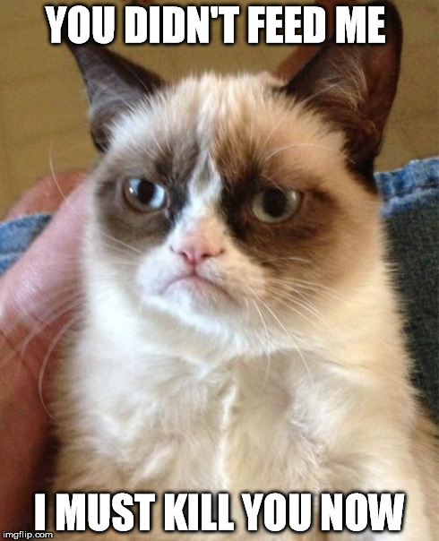 Grumpy Cat Meme | YOU DIDN'T FEED ME I MUST KILL YOU NOW | image tagged in memes,grumpy cat | made w/ Imgflip meme maker