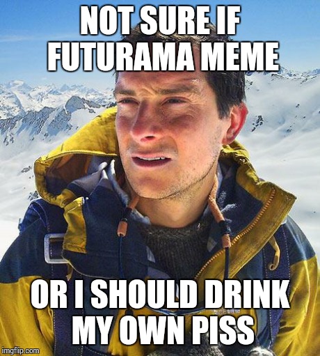 Fry Grylls | NOT SURE IF FUTURAMA MEME OR I SHOULD DRINK MY OWN PISS | image tagged in memes,bear grylls | made w/ Imgflip meme maker