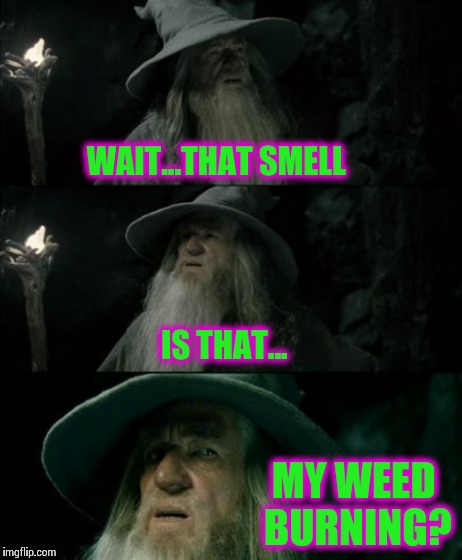 Confused Gandalf | WAIT...THAT SMELL IS THAT... MY WEED BURNING? | image tagged in memes,confused gandalf | made w/ Imgflip meme maker