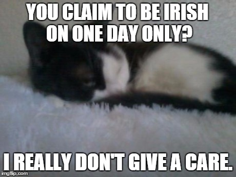 But my human is an European mixture, majority Irish and English with a small percentage of Native American. | YOU CLAIM TO BE IRISH ON ONE DAY ONLY? I REALLY DON'T GIVE A CARE. | image tagged in st patrick's day,cats,i don't care,death stare | made w/ Imgflip meme maker