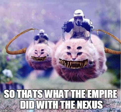 SO THATS WHAT THE EMPIRE DID WITH THE NEXUS | image tagged in cat storm troopers,star wars | made w/ Imgflip meme maker