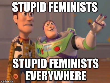 X, X Everywhere | STUPID FEMINISTS STUPID FEMINISTS EVERYWHERE | image tagged in memes,x x everywhere | made w/ Imgflip meme maker