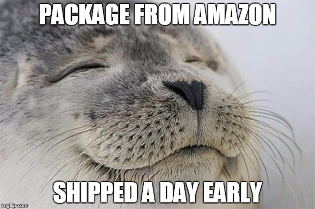 Satisfied Seal Meme | PACKAGE FROM AMAZON SHIPPED A DAY EARLY | image tagged in memes,satisfied seal,AdviceAnimals | made w/ Imgflip meme maker