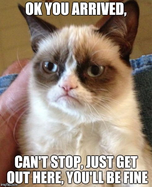 Grumpy Cat Meme | OK YOU ARRIVED, CAN'T STOP, JUST GET OUT HERE, YOU'LL BE FINE | image tagged in memes,grumpy cat | made w/ Imgflip meme maker