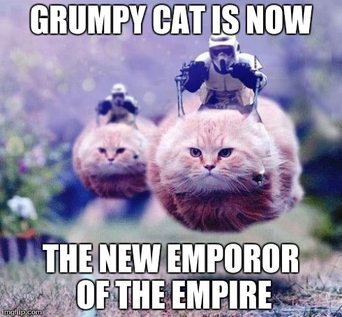 Storm Trooper Cats | GRUMPY CAT IS NOW THE NEW EMPOROR OF THE EMPIRE | image tagged in storm trooper cats | made w/ Imgflip meme maker