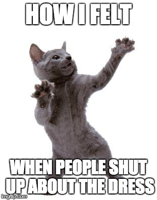 Happy Dance Cat | HOW I FELT WHEN PEOPLE SHUT UP ABOUT THE DRESS | image tagged in happy dance cat | made w/ Imgflip meme maker