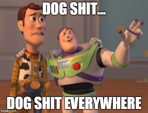 X, X Everywhere | DOG SHIT... DOG SHIT EVERYWHERE | image tagged in memes,x x everywhere,AdviceAnimals | made w/ Imgflip meme maker