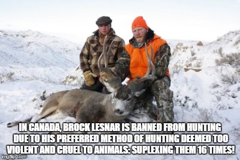 how brock lesnar hunts | IN CANADA, BROCK LESNAR IS BANNED FROM HUNTING DUE TO HIS PREFERRED METHOD OF HUNTING DEEMED TOO VIOLENT AND CRUEL TO ANIMALS: SUPLEXING THE | image tagged in brock lesnar,wrestling,funny memes | made w/ Imgflip meme maker