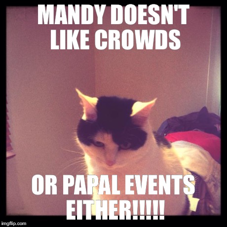 MANDY DOESN'T LIKE CROWDS OR PAPAL EVENTS EITHER!!!!! | image tagged in are you making noise | made w/ Imgflip meme maker