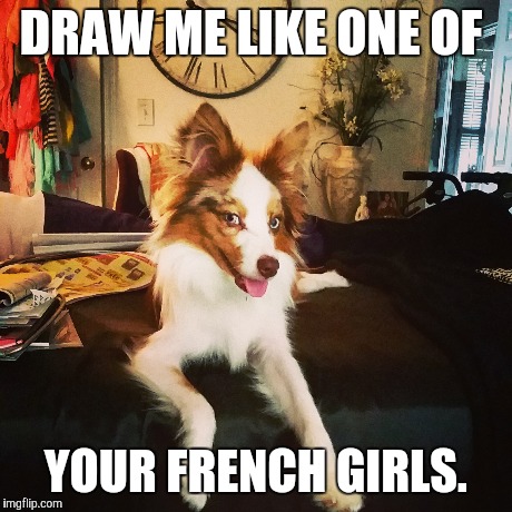 Maeby baby is a beauty with sass and class!  | DRAW ME LIKE ONE OF YOUR FRENCH GIRLS. | image tagged in memes,titanic,rose,dog | made w/ Imgflip meme maker