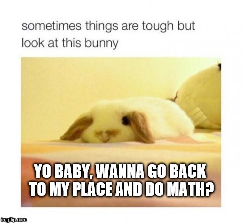 YO BABY, WANNA GO BACK TO MY PLACE AND DO MATH? | image tagged in bunny | made w/ Imgflip meme maker