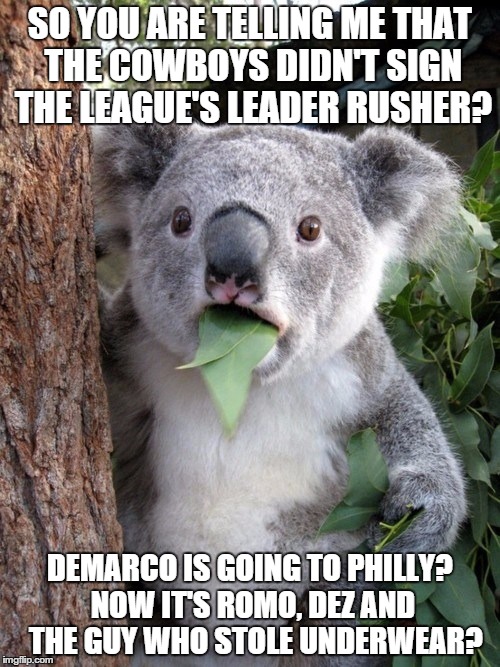 Surprised Koala Meme | SO YOU ARE TELLING ME THAT THE COWBOYS DIDN'T SIGN THE LEAGUE'S LEADER RUSHER? DEMARCO IS GOING TO PHILLY? NOW IT'S ROMO, DEZ AND  THE GUY W | image tagged in memes,surprised coala | made w/ Imgflip meme maker